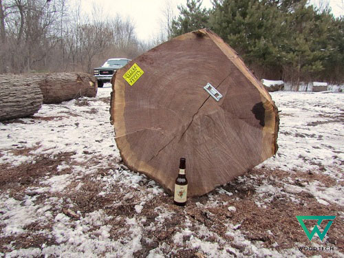 Gỗ óc chó thuộc nhóm mấy