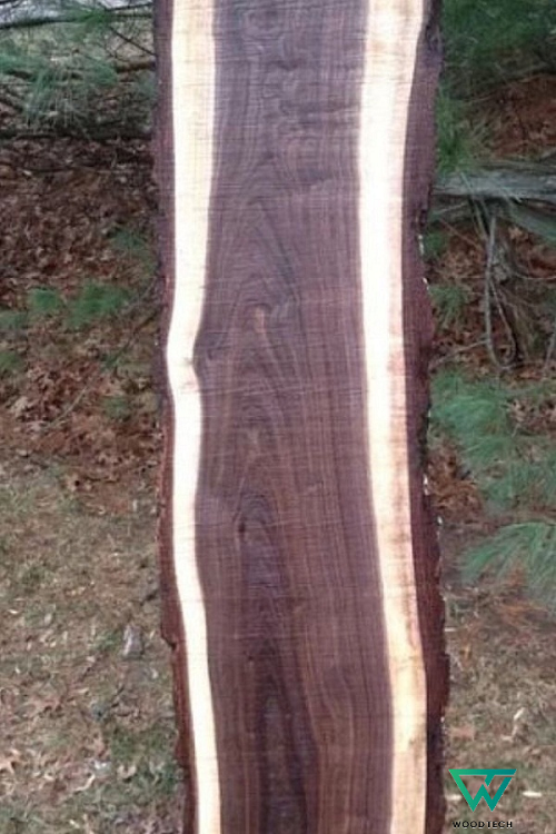 Gỗ óc chó Gỗ óc chó